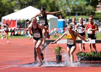 gnac steeplechase